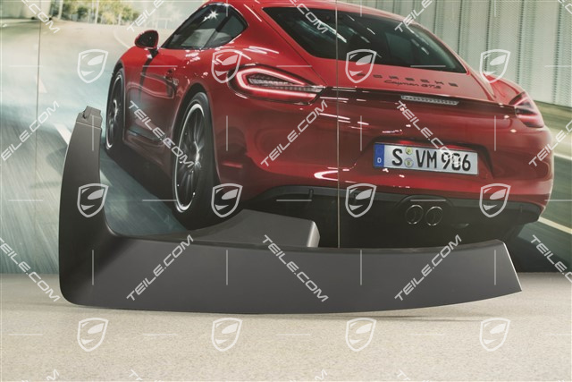 Targa, Verdeckkasten Verkleidung, Schwarz, L