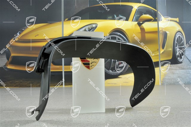 Abschirmblech am Endrohr, schwarz