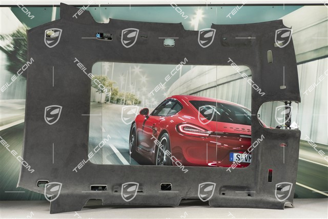 Dachverkleidung Alcantara, Grossdach-System, schwarz