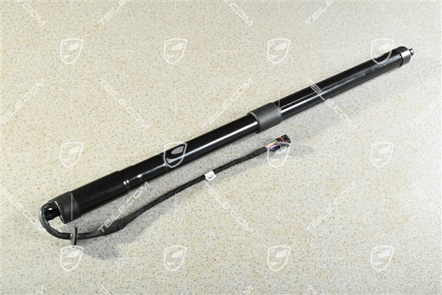 Drive unit Damper cylinder Trunk / boot lid / Power closing for rear lid, L=R