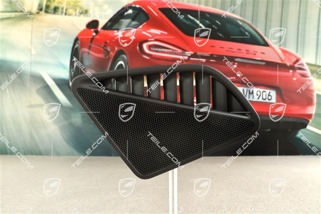 Schalttafelverkleidung, Lautsprecherblende, Schwarz, L