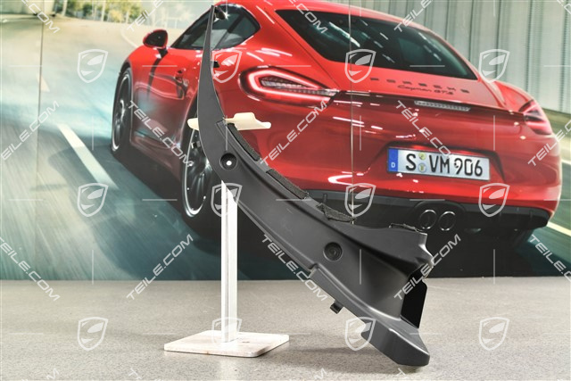 Targa top, storage cover lining, lateral, Black, R