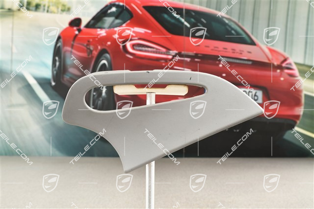 Blenda na pas bezpieczeństwa, tylna, Graphite grey, Coupe, R