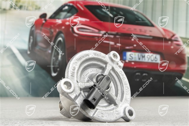 Thermostat, Turbo S / GT2RS