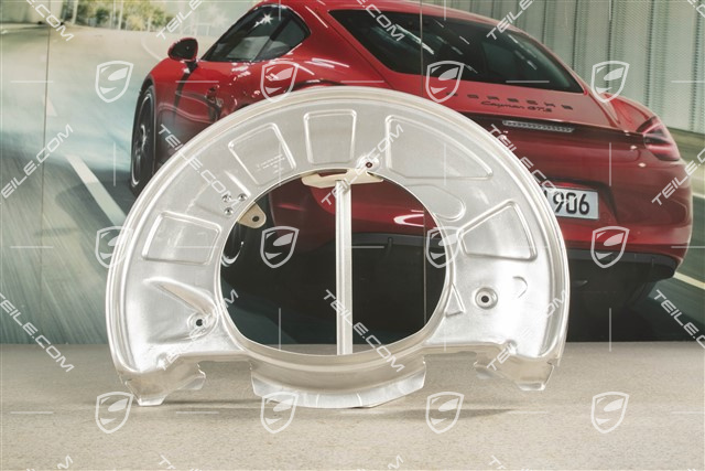 Bremstraegerblech, Schutzblech, VA, PCCB, R