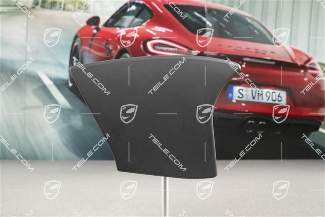 Mittelkonsole, Blende, Leder, seitlich, Schwarz, Cabrio, R