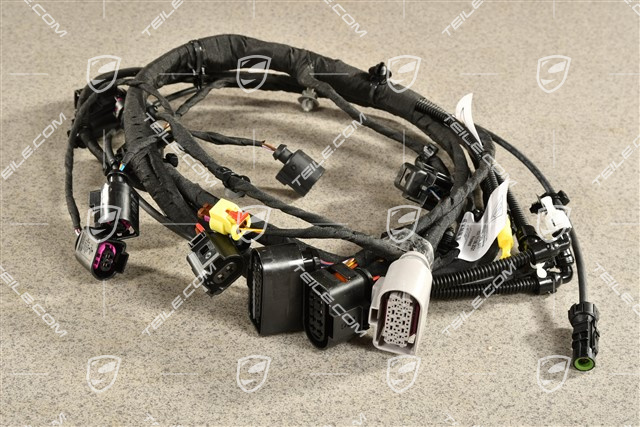 Wiring harness / Electric loom