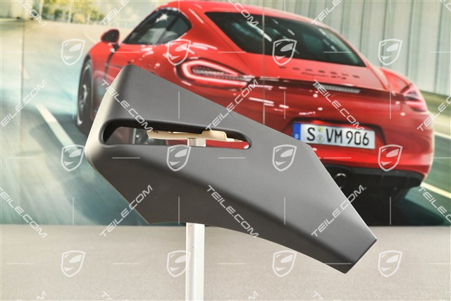 Verkleidung Sicherheitsgurt, B-Säule, Schwarz, L