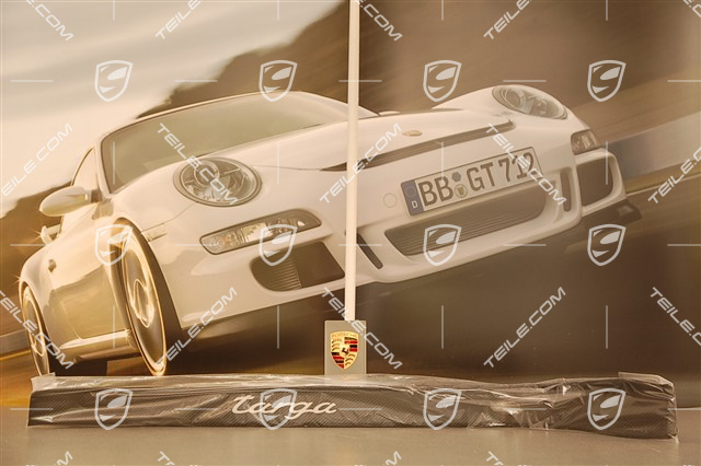 Einstiegleiste Carbon, "TARGA" Schrüftzug, LINKS