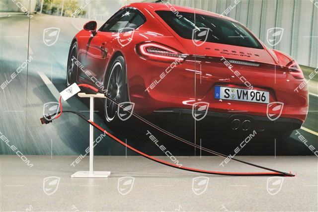 Instalacja elektryczna czujnika otwierania bagażnika gestem, Easy Open