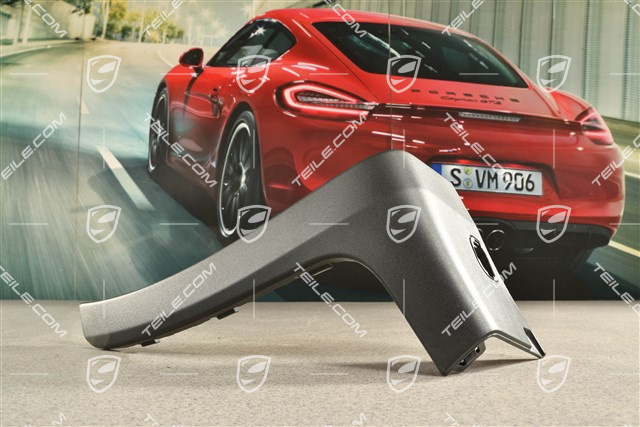 GT3RS lining, lateral, R