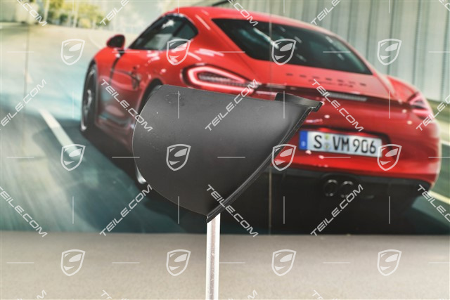 Dashboard Cover trim, Black, L