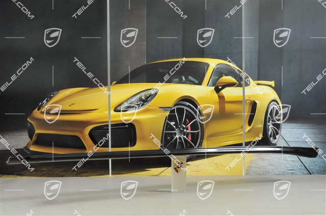 Osłona progu, C4/C4S/GT3/911R, lakierowana, L