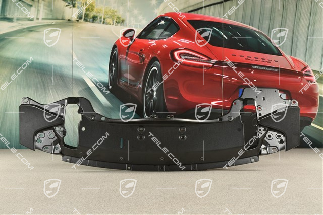 Aerokit Rear spoiler carrier