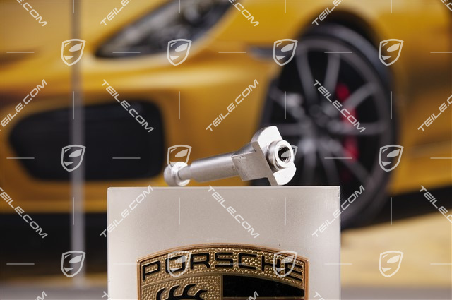 Floater Fixing Elements for PCCB disc