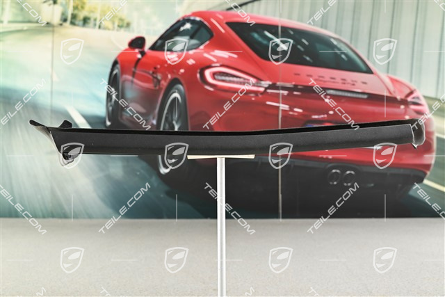 Dichtung, aussen für Fondscheibe, Cabrio, L