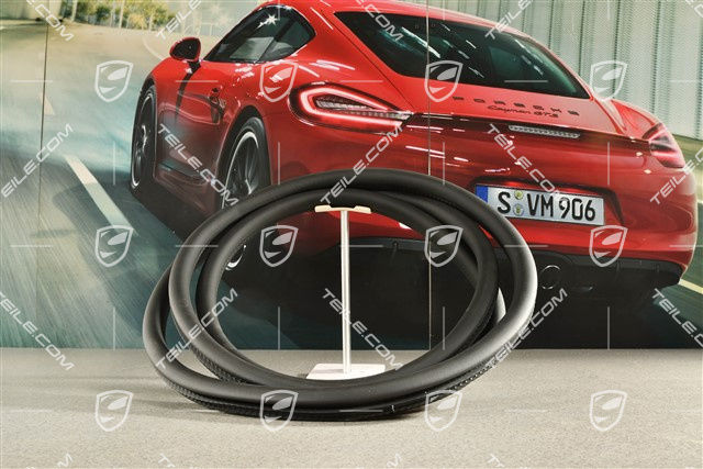 Hintertür, Tuerdichtung / Türdichtung, innen, R