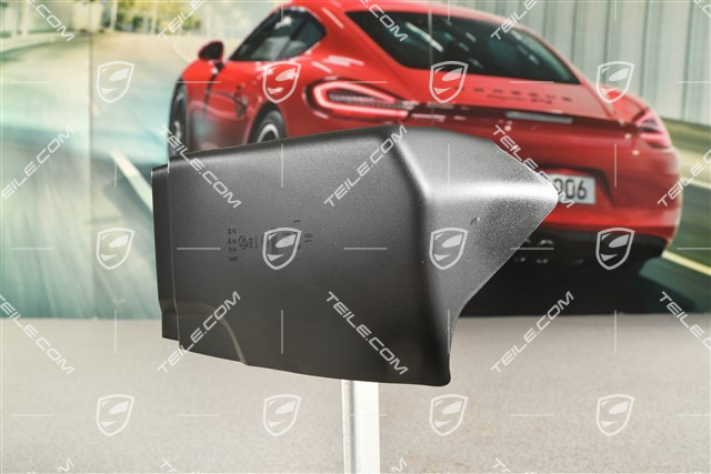 Blende für Heckleuchte / Heckblende, Mitte, Coupe, L