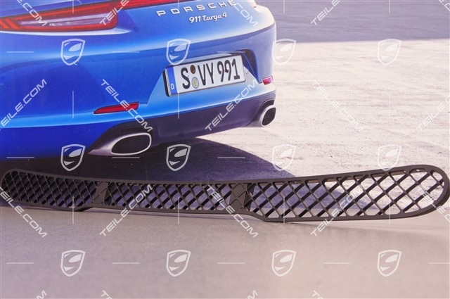 Ansauggitter GT3RS / AEROKIT CUP Ansauggitter GT3RS / AEROKIT CUP