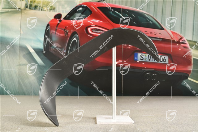 Cover trim plate (above tailpipe)