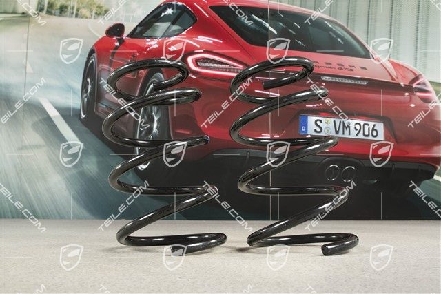 Schraubenfeder, 6-Gang schaltgetriebe, Kennzeichnung grau/rosa, Satz, L+R