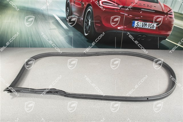 Türdichtung, Karosserie, Coupe / Targa, R Türdichtung, Karosserie, Coupe / Targa, R