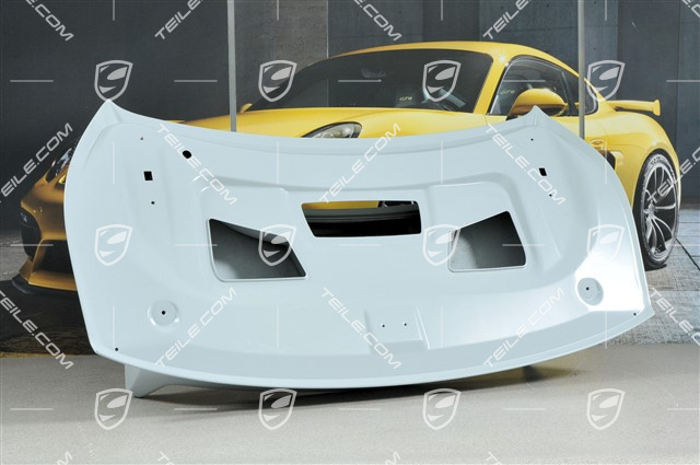 GT3 rear lid