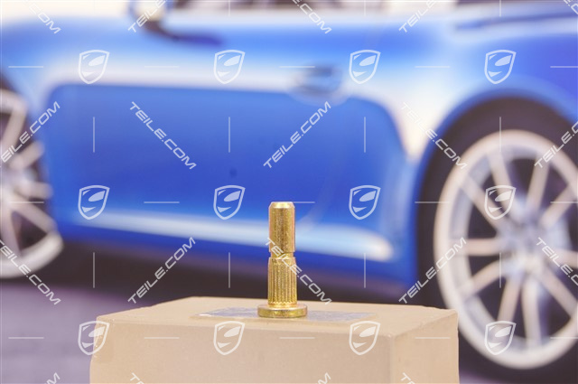 Sworzeń / Bolec / kołek ogranicznika drzwi