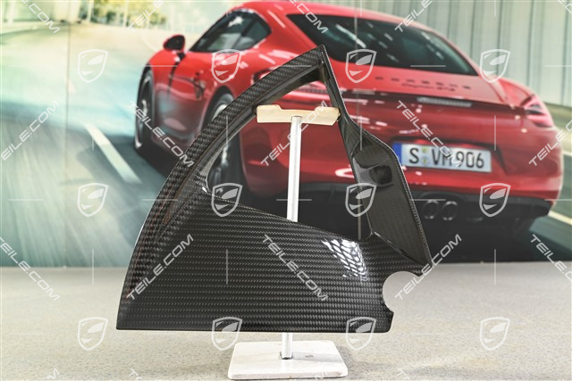 21 cali Taycan Exclusive Design blenda / kołpak carbon, przedni, R