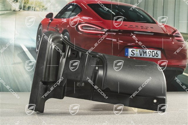 Spoiler / Verkleidung / Blende, Hinten, Schwarz, R