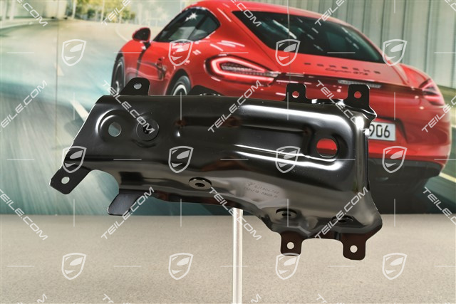 Wing support / Bracket, R