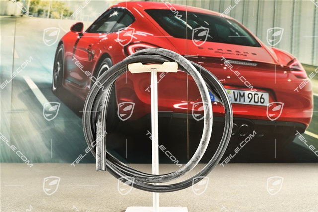 Trittbrett Profilleiste