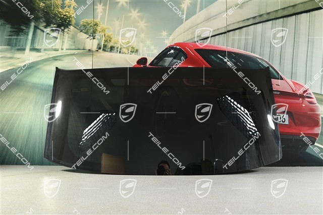 Coupe, Tailgate glass / rear window dark tinted privacy glass