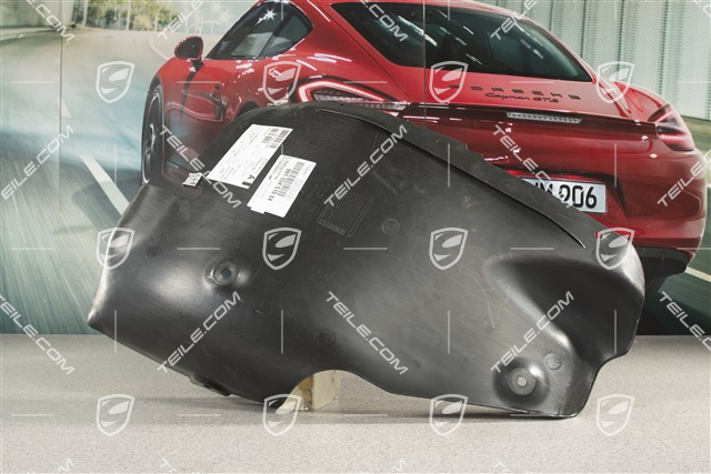 GT2RS, Radhausabdeckung / Blende, Hinten, R