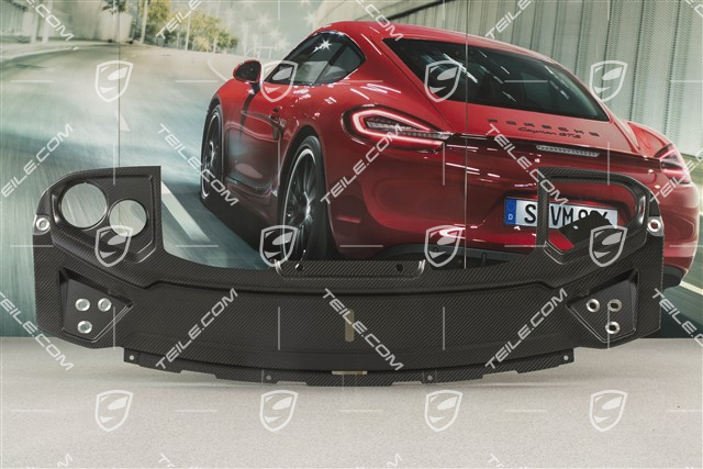 Rama mocująca/ spoiler tylny GT3