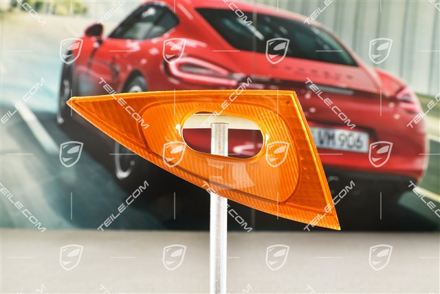 Abdeckblende in Gelb, Reinigungsanlage, R