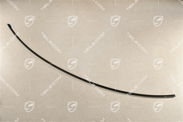 Windshield gasket, lower