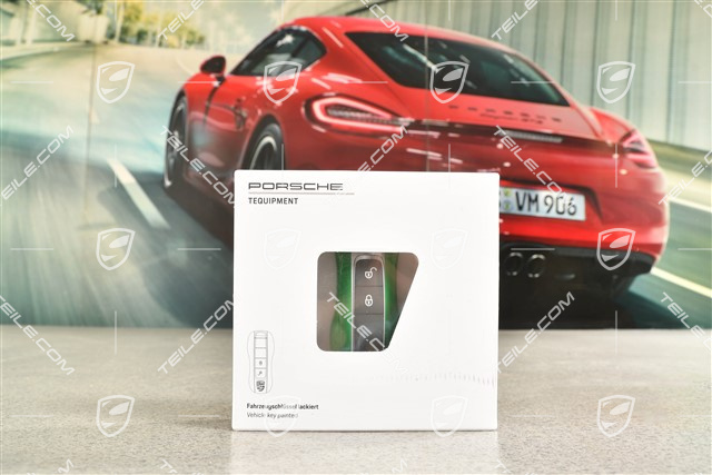 Fahrzeugschlüssel Schlüsselkappe, lackiert Pythongrun
