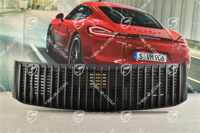 Ventilation grille / rear lid, black matt