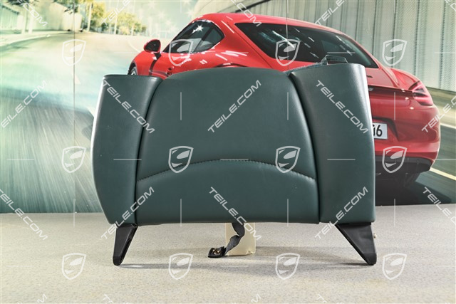 Notsitzrückenlehne / Rücksitz / Rückenlehne, Hinten, Cedar  Grün, Coupe/Targa, R