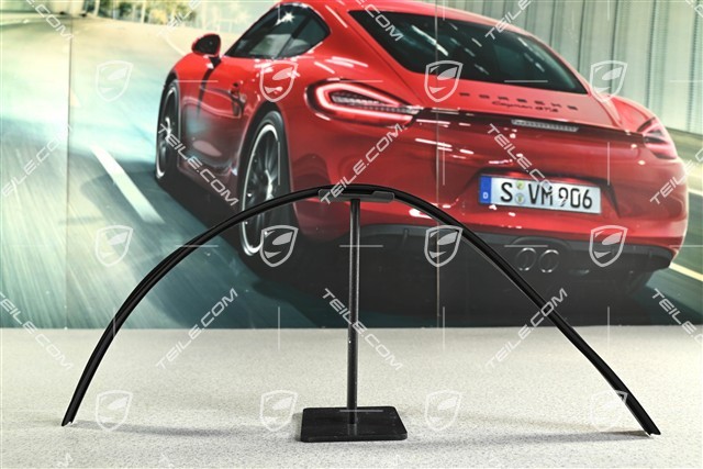 Fensterfuehrung für Tuerfensterscheibe, Targa / Cabrio, L=R