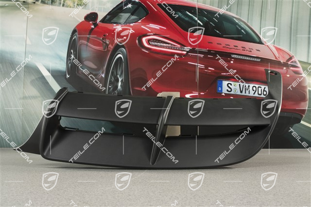 Lining rear, lower, GT4, L