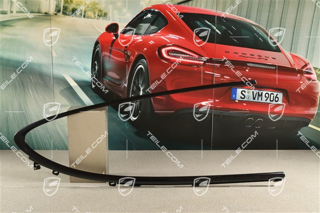 Trim strip / moulding / door shaft incl. seal, rear, Glossy Black, R