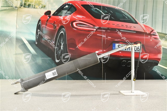 Stossdämpfer, Elektr. Dämpferregelung PASM, ohne Tieferegelung, L=R