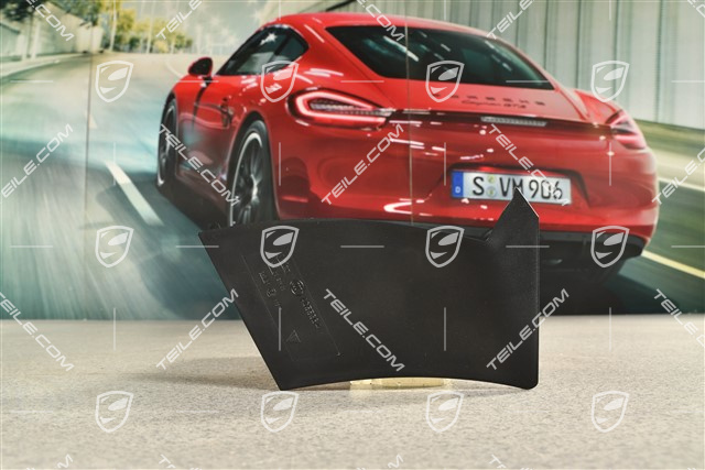 Rear light cover, outer, L