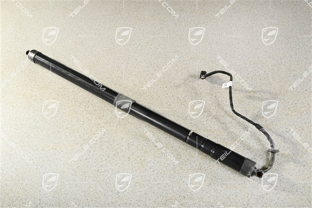 Drive unit Damper cylinder Trunk / boot lid / Power closing for rear lid, L=R