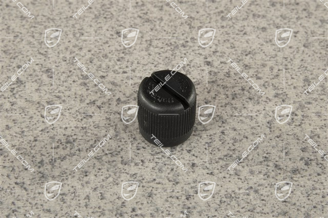 S/ Turbo, 4,5L V8, Fuel rail, pressure valve insert cap