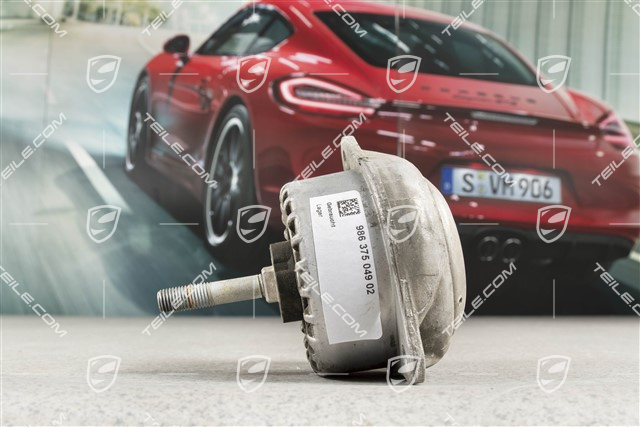 Poduszka silnika / skrzyni biegów, L=R