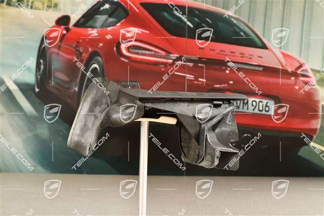 Dichtung, B-Säule, L