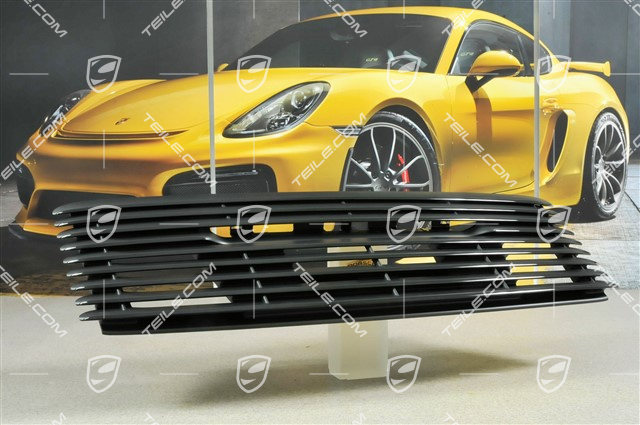 Ventilation grille + Bracket, GTS